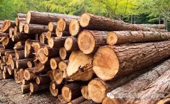 原木门和实木门该怎样区别？这下晓得了！